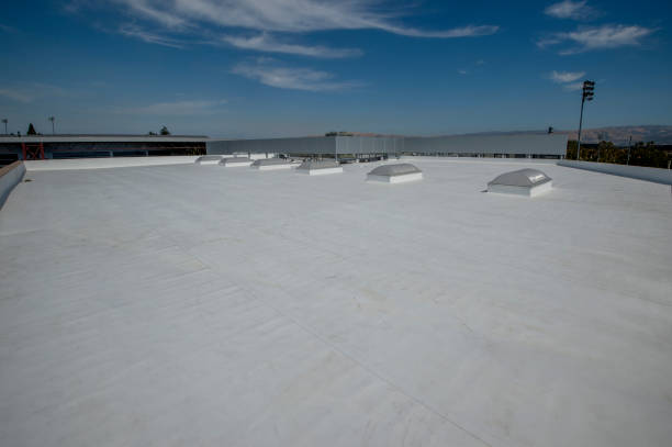 Best Roof Moss and Algae Removal  in Legend Lake, WI