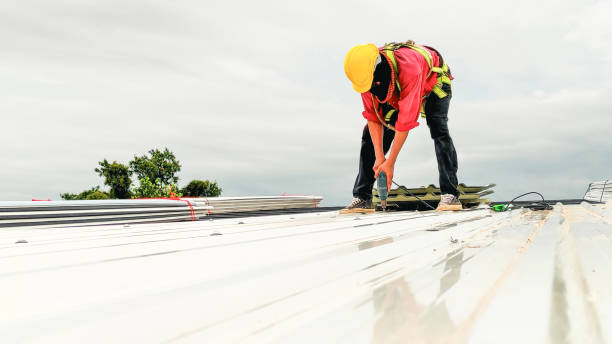 Best Rubber Roofing (EPDM, TPO)  in Legend Lake, WI